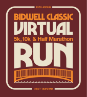 virtual-run